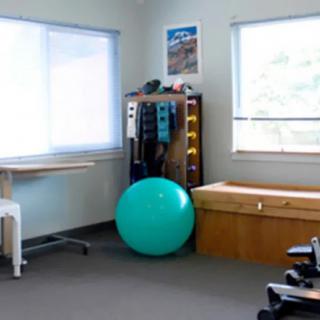 A bright, sunlit room features fitness and therapy equipment, including a large exercise ball.