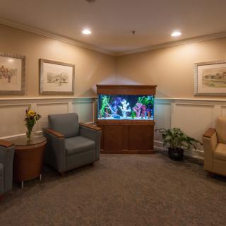 A cozy waiting room featuring comfortable chairs, a vibrant aquarium, decorative plants, and framed artwork on the walls.