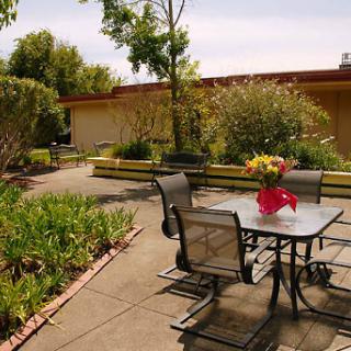 A serene outdoor space featuring a table and chairs surrounded by lush greenery and vibrant flowers.