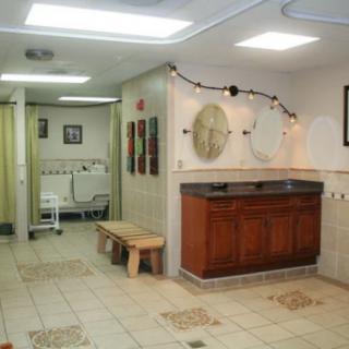 A well-lit bathroom interior featuring sinks, mirrors, benches, and decorative elements.