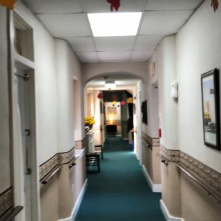 A well-lit hallway with carpeted flooring and decorative elements.