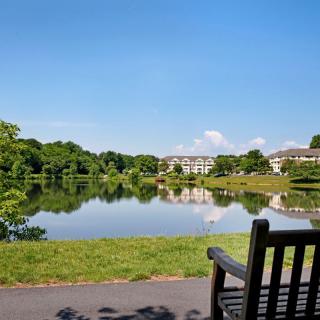 A peaceful park view with a lake, surrounded by trees and buildings, accompanied by a bench under a clear blue sky.