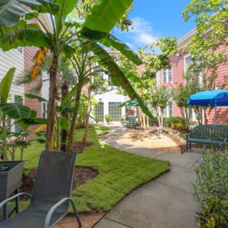 A tranquil courtyard garden with lush greenery, seating areas, and a sun umbrella on a bright day.