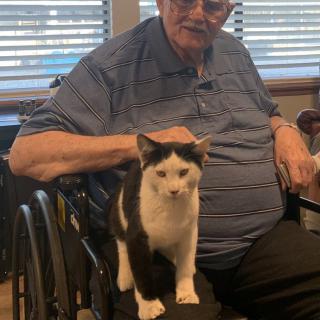 An elderly man sitting in a wheelchair with a black and white cat on his lap.