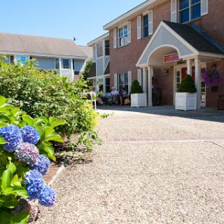A picturesque view of a building with vibrant blue hydrangeas lining the pathway on a sunny day.