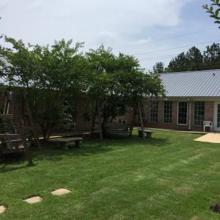 A peaceful garden with neatly trimmed grass, trees, and wooden benches near a building.