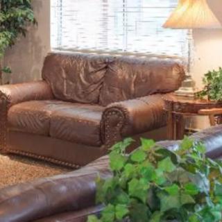 A cozy living room with leather sofas, a lamp, and decorative plants.