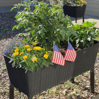 An outdoor planter featuring vibrant flowers and vegetables adorned with small American flags.