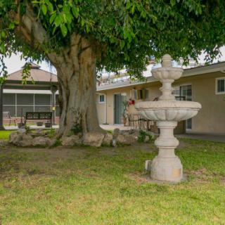 A serene backyard featuring a large tree and a decorative fountain, with a house in the background.