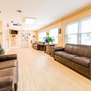 A cozy lounge with comfortable seating, abundant natural light, and vibrant plants.