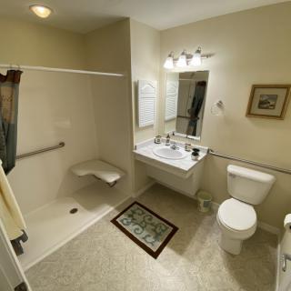 A clean and accessible bathroom featuring a walk-in shower with a seat, sink, toilet, and vanity mirror.