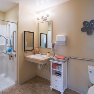 A well-organized, wheelchair-accessible bathroom with a shower, sink, mirror, and storage cabinet.