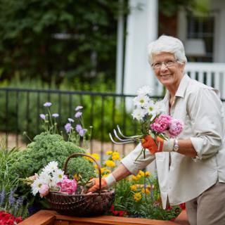 A cheerful woman enjoys her time in the garden, tending to beautiful flowers and gathering them in a woven basket.