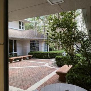 A serene courtyard featuring a paved pathway and benches surrounded by greenery.