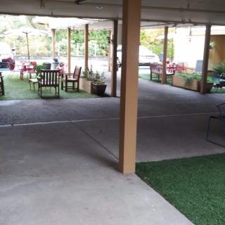 A covered outdoor seating area with chairs and tables surrounded by greenery.