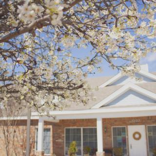 Abba Care Assisted Living