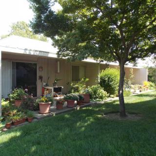 A cozy house with a well-maintained yard, featuring lush greenery and potted plants.