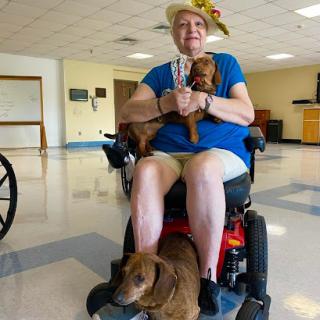 A joyful woman in a wheelchair enjoys the company of her pet dogs in a community space.