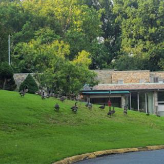 A scenic view of a building nestled among lush greenery on a hillside.