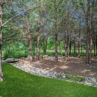 A serene outdoor scene featuring lush greenery and a grove of trees.