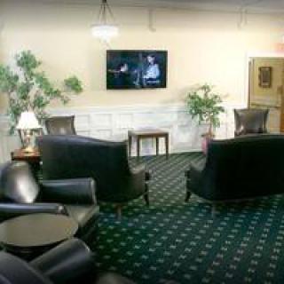 A comfortable lounge area with leather chairs, a television, and indoor plants.