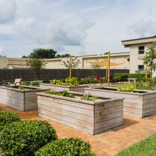 A beautifully maintained garden with raised wooden beds filled with plants, set against a backdrop of urban buildings on a sunny day.