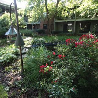 A lush garden with vibrant flowers and greenery surrounding a tranquil outdoor space.