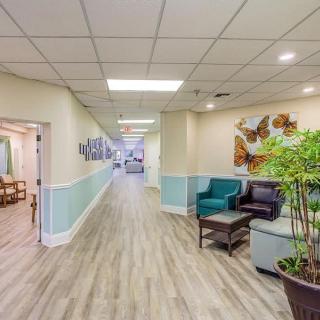 A well-lit hallway with a cozy seating area, featuring plants and decorative elements.