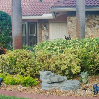 A beautifully landscaped garden in front of a house featuring bushes, palm trees, and stone elements.