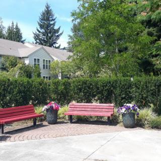 A sunny day in a park with red benches, surrounded by trees and flowers.