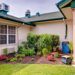 A lush garden with various plants in the backyard of a house, featuring well-maintained landscaping.