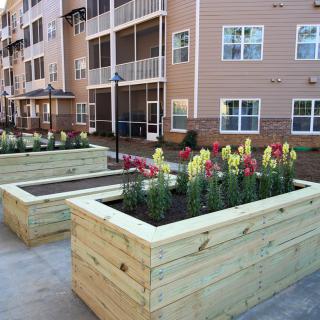 Wooden raised garden beds filled with colorful flowers in an apartment complex courtyard.