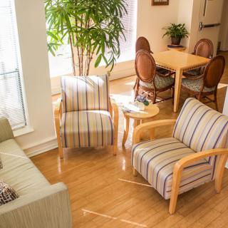 A cozy living space with comfortable armchairs, a sofa, a dining table set, and indoor plants.