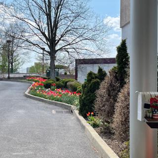 A scenic view of a landscaped driveway lined with blooming flowers and trees under a clear sky.