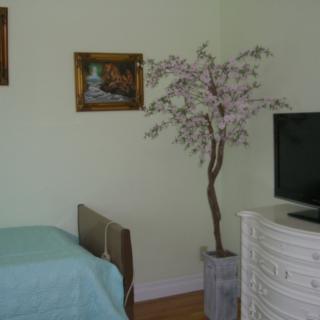 A cozy bedroom featuring a TV, potted plant, and paintings on the wall.