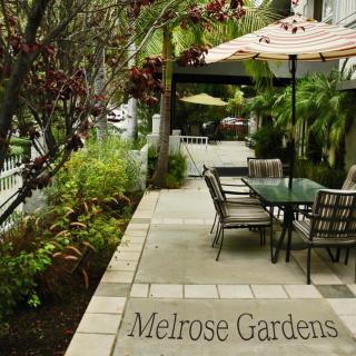 A serene garden patio set with tables and umbrellas, surrounded by lush greenery.