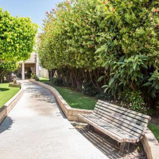 A peaceful garden scene with a bench along a tree-lined pathway.