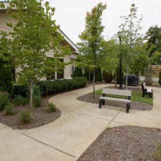 An outdoor area featuring a bench, surrounded by trees and a pathway.