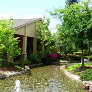 A tranquil garden setting with a small pond and lush greenery.