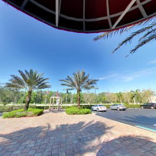 A sunny day view of a parking lot with palm trees and cars under a clear blue sky.