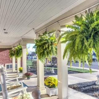 A sunny porch with hanging ferns and cozy rocking chairs invites relaxation.