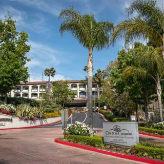 Entrance to a luxurious hotel surrounded by lush landscaping and palm trees.