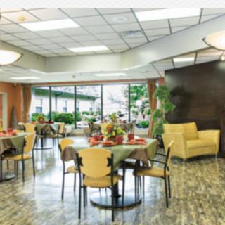 A modern dining area with natural lighting, plants, and comfortable seating.