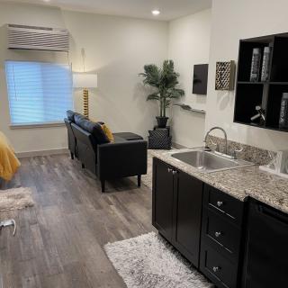 A modern living space featuring a kitchenette with dark cabinets, a comfortable sofa, and decorative elements including an indoor plant and wall art.