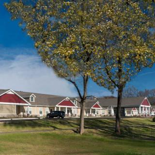 A row of suburban homes with a clear blue sky and trees in the foreground.