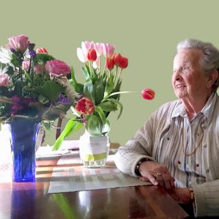 An elderly woman enjoys the beauty of colorful flowers on a sunny day.