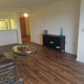A cozy living room with wood flooring, featuring a coffee table and a shelving unit.