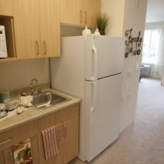 A compact kitchen area with a refrigerator, sink, and wooden cabinets.