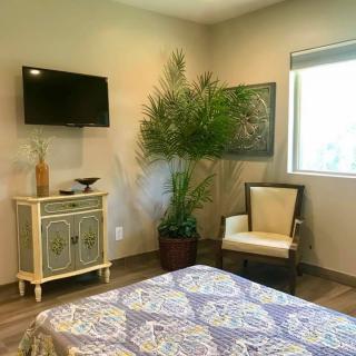 A cozy bedroom with a TV, potted plant, and elegant decor.