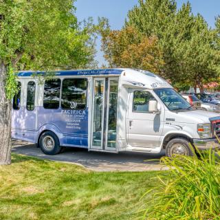 A white shuttle bus parked in a verdant outdoor setting near trees and a parking lot.